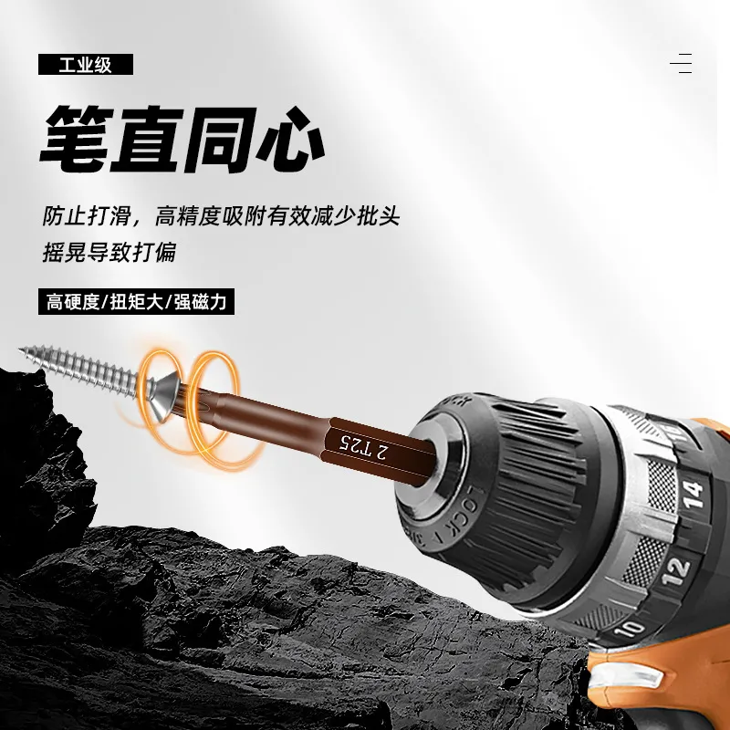Power Tools For Home - Set di punte esagonali S2 per