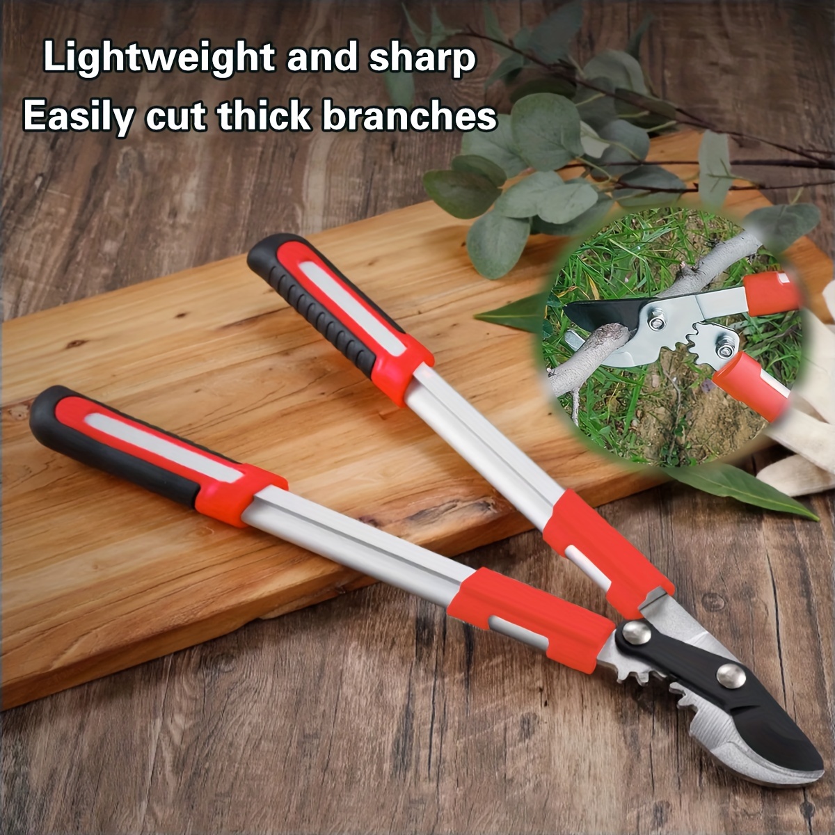 Forbici da Potatura Profession - Power Tools Garden recensione e prezzo