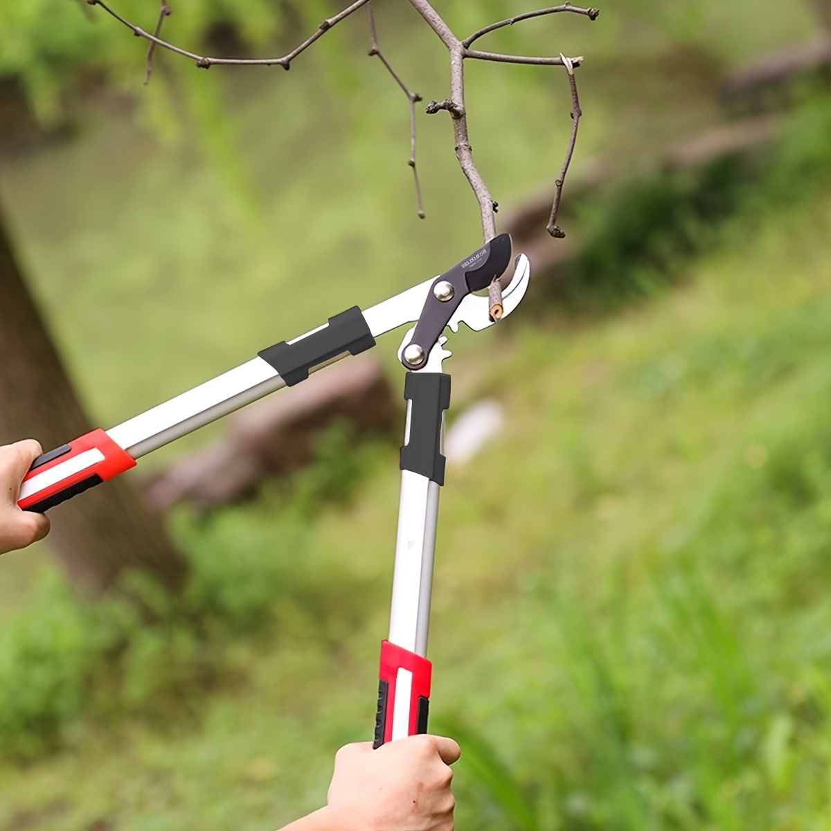 Forbici da Potatura Profession - Power Tools Garden recensione e prezzo